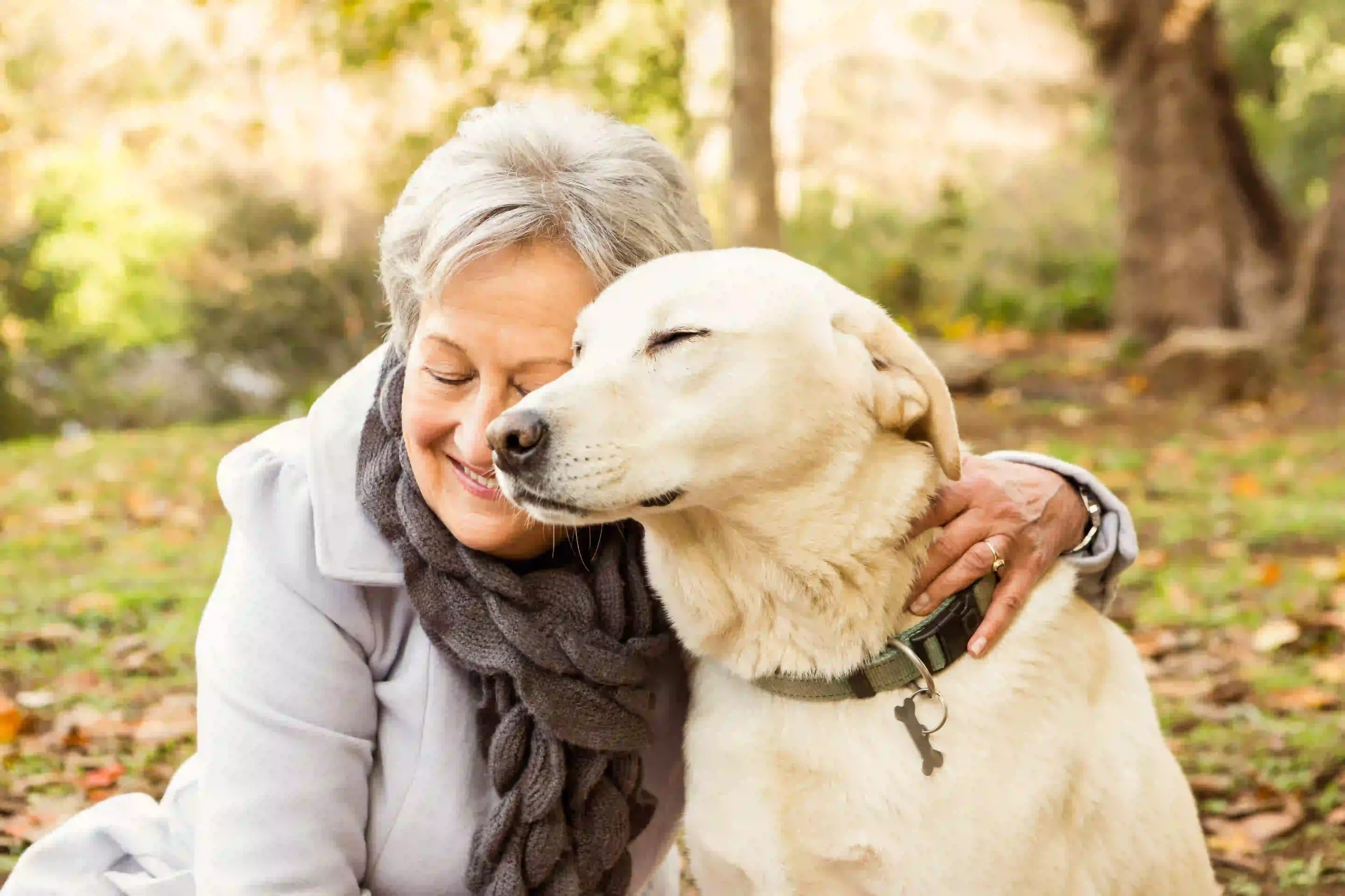 How Understanding Humane Euthanasia for Pets Brings Comfort to Difficult Goodbyes