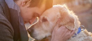 What is humane euthanasia for pets